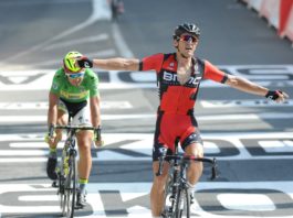 Greg Van Avermaet