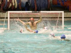 Roma Vis Nova - Acquachiara Napoli Campionato Pallanuoto A1 Maschile